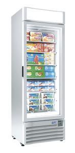 France gel location armoire congelateur 1